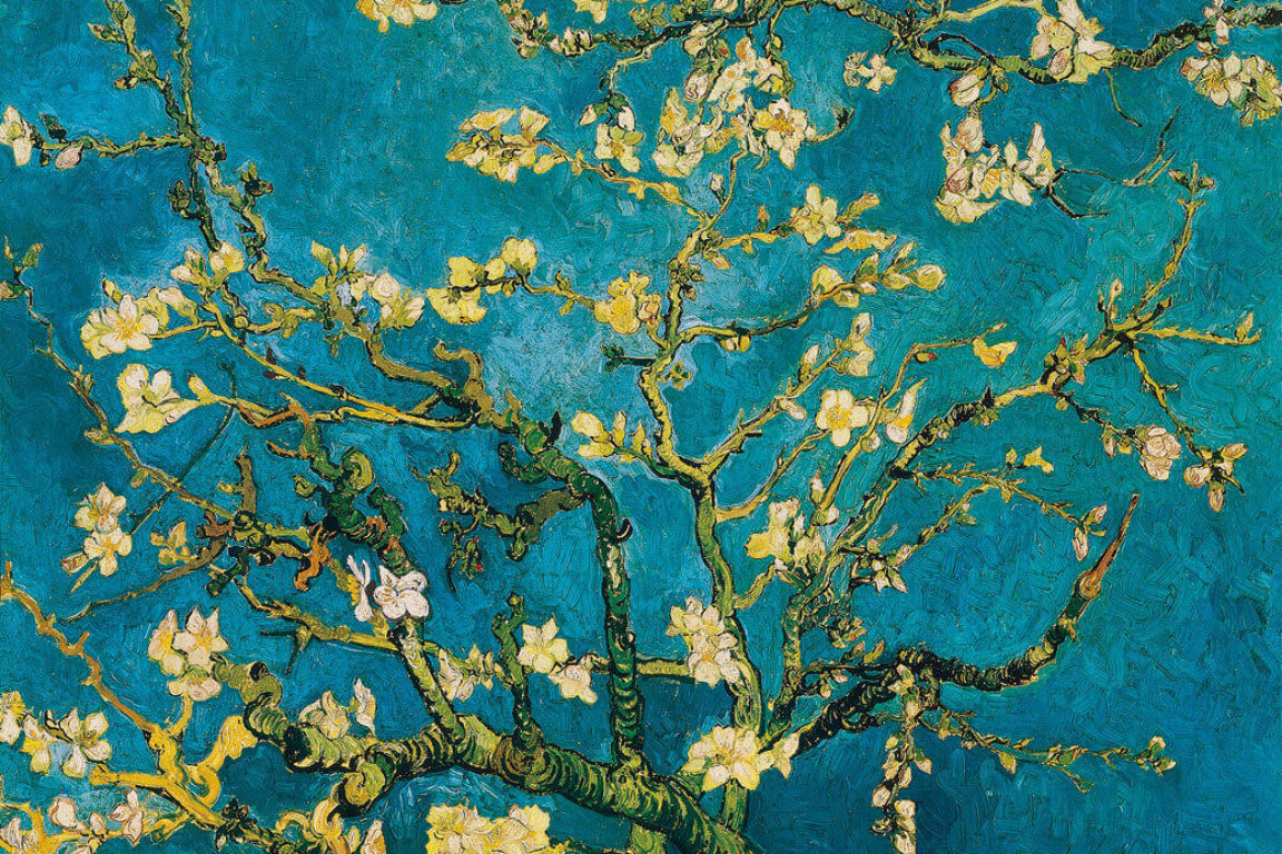 immagine di copertina Il cuore di primavera
