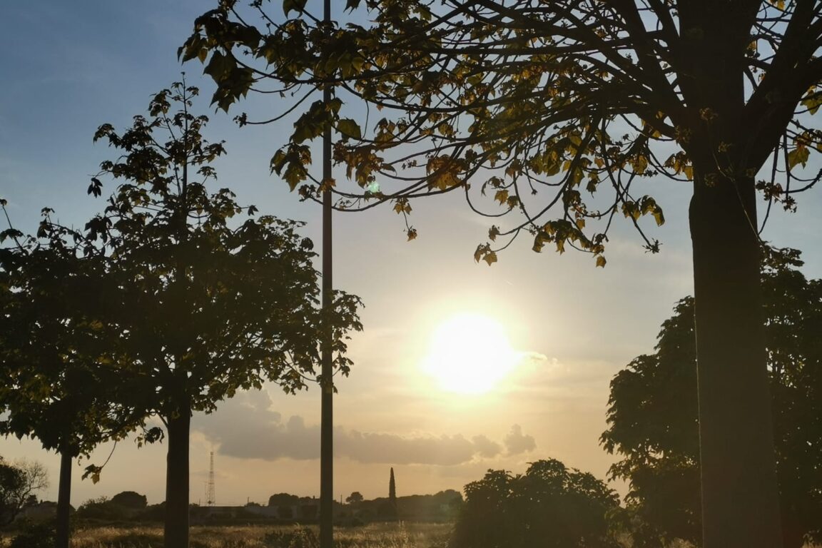 foto Giornata internazionale del clima