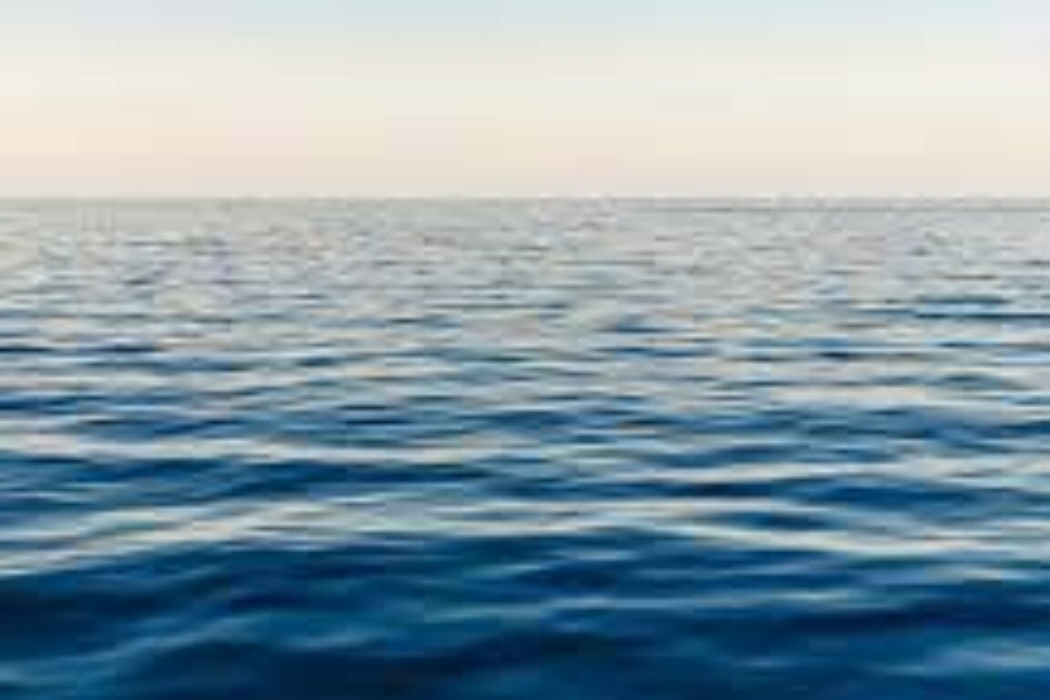 foto 8 Luglio giornata internazionale del Mar Mediterraneo.Il mare e l’ulivo