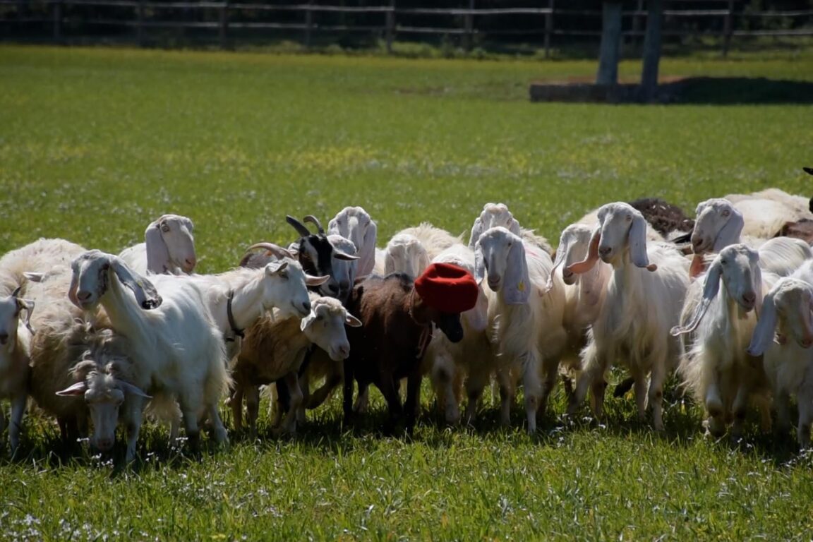 immagine di copertina Preservare la terra è un impegno dell’arte