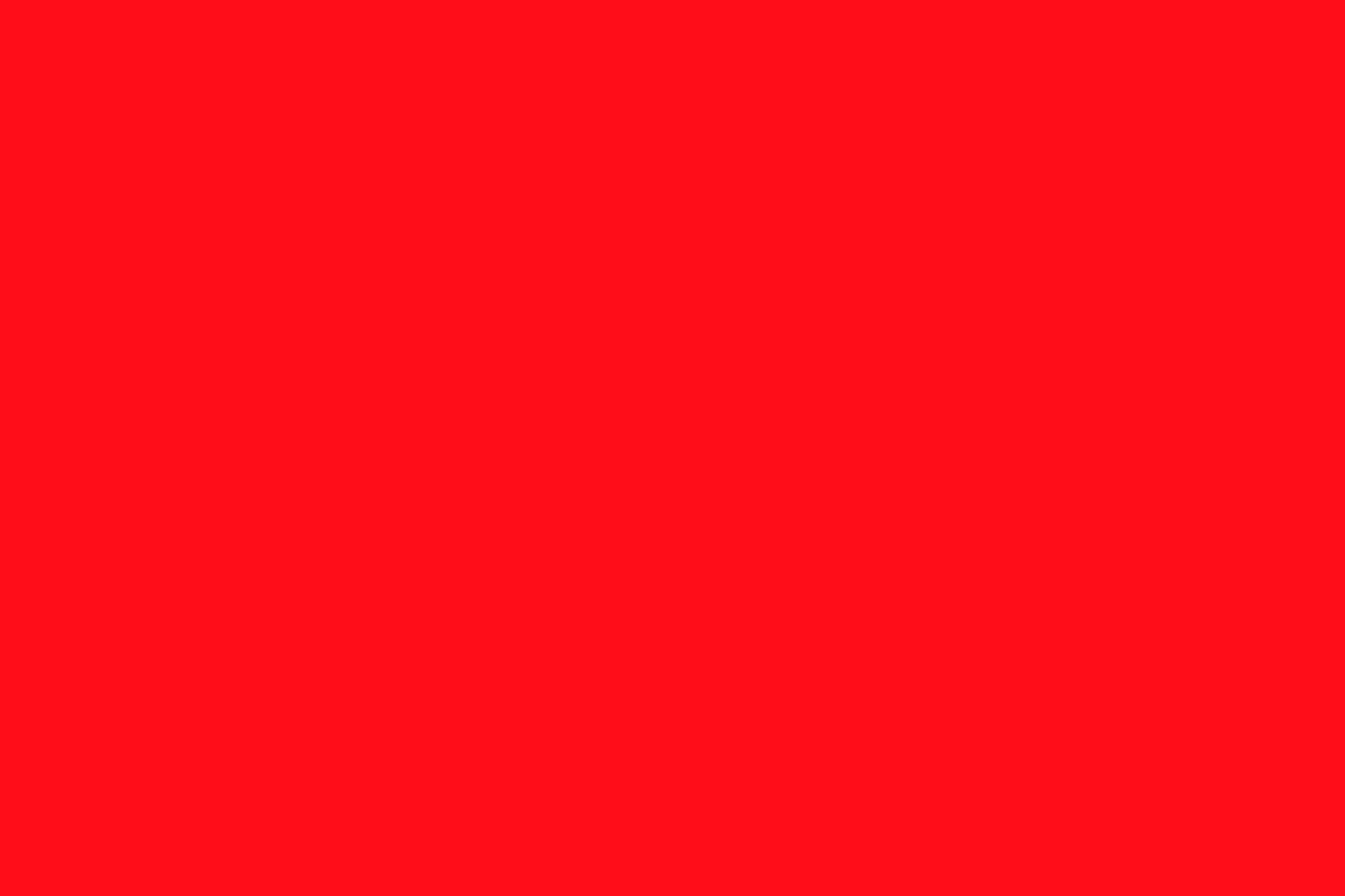 immagine di copertina La città delle parole