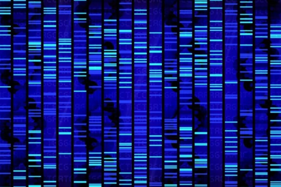 foto La variante Omicron mette a dura prova la genitorialità e la scuola già in grandi difficoltà