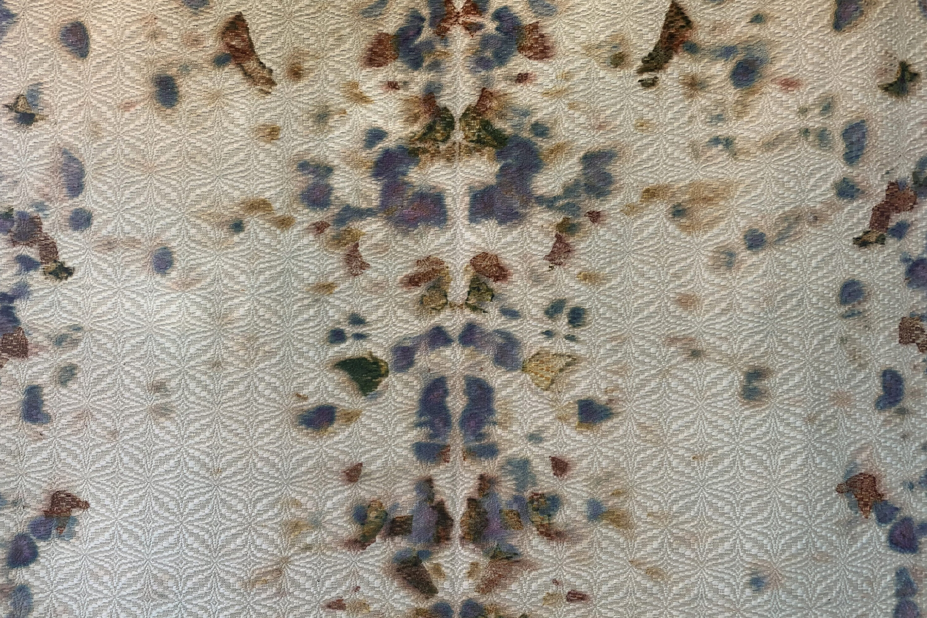 immagine di copertina Chiara Camoni <br>Serpenti ragni falene. Cipolle fiori e cantilene