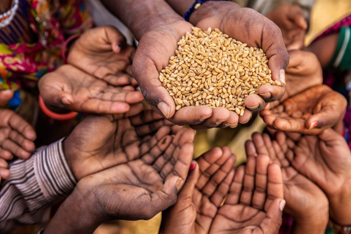 foto La lotta contro la fame nel mondo