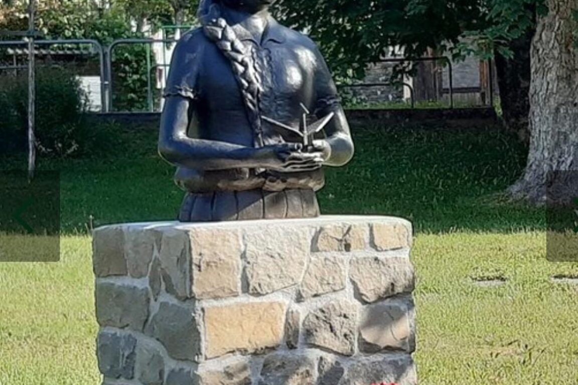 immagine di copertina Il desiderio di Sadako Sasaki: voglio volare come una gru