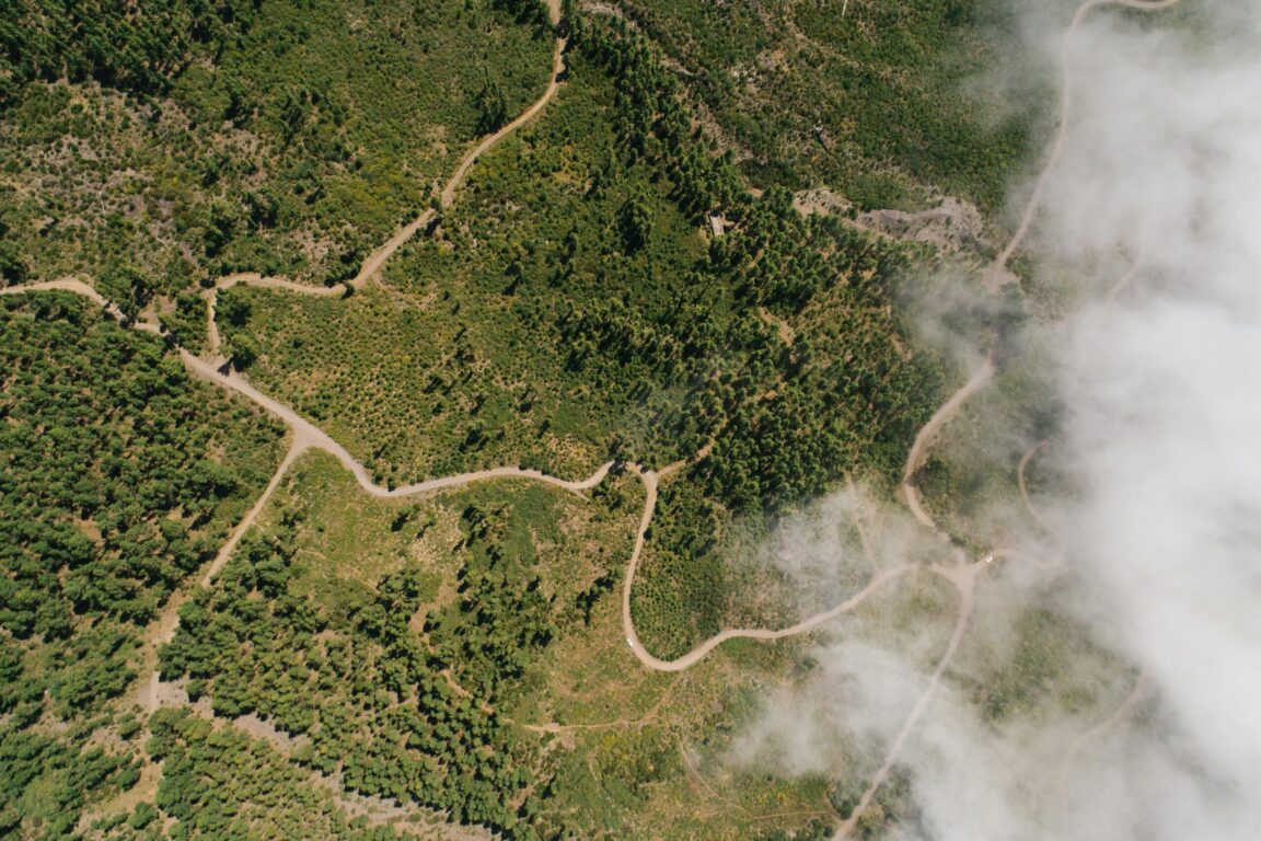 immagine di copertina rassegna Il paesaggio cambiato: dalla ferita alla rinascita