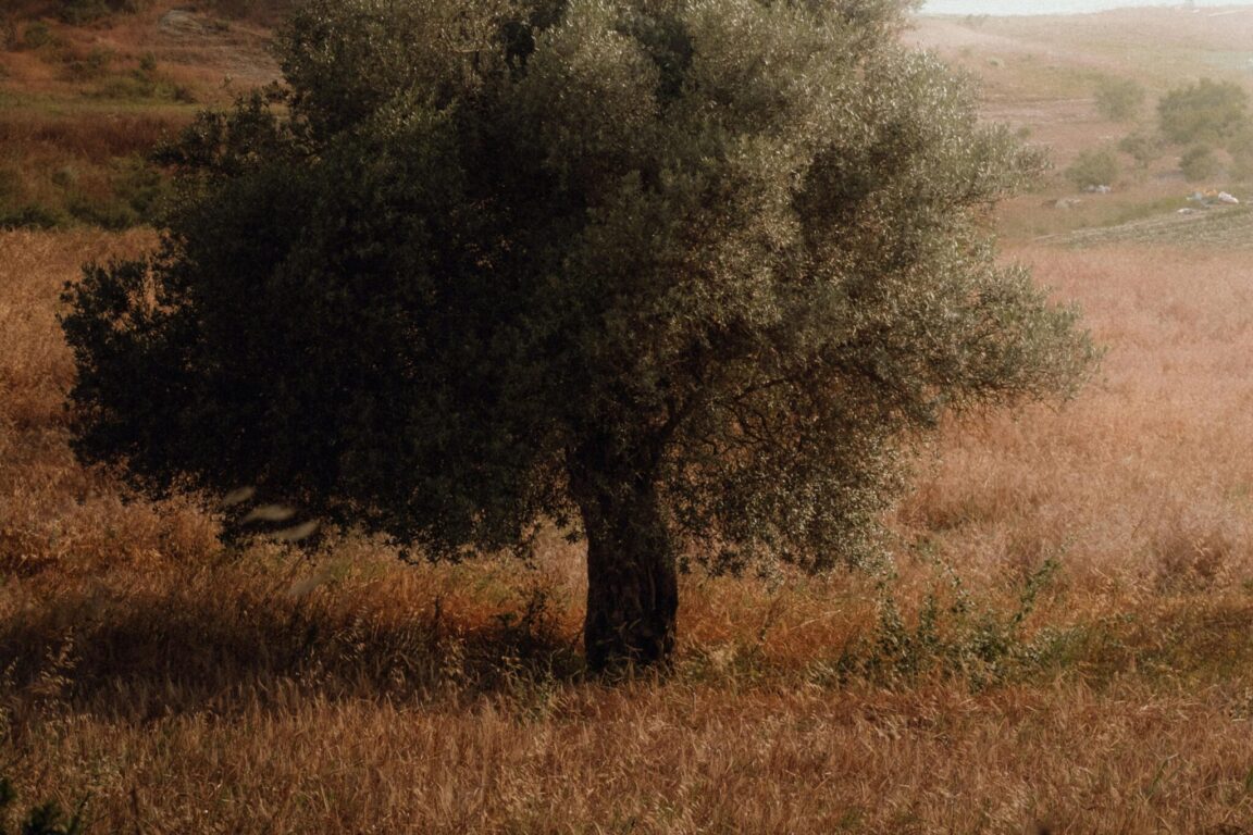 foto VIVERE NEI CUBI DI CEMENTO