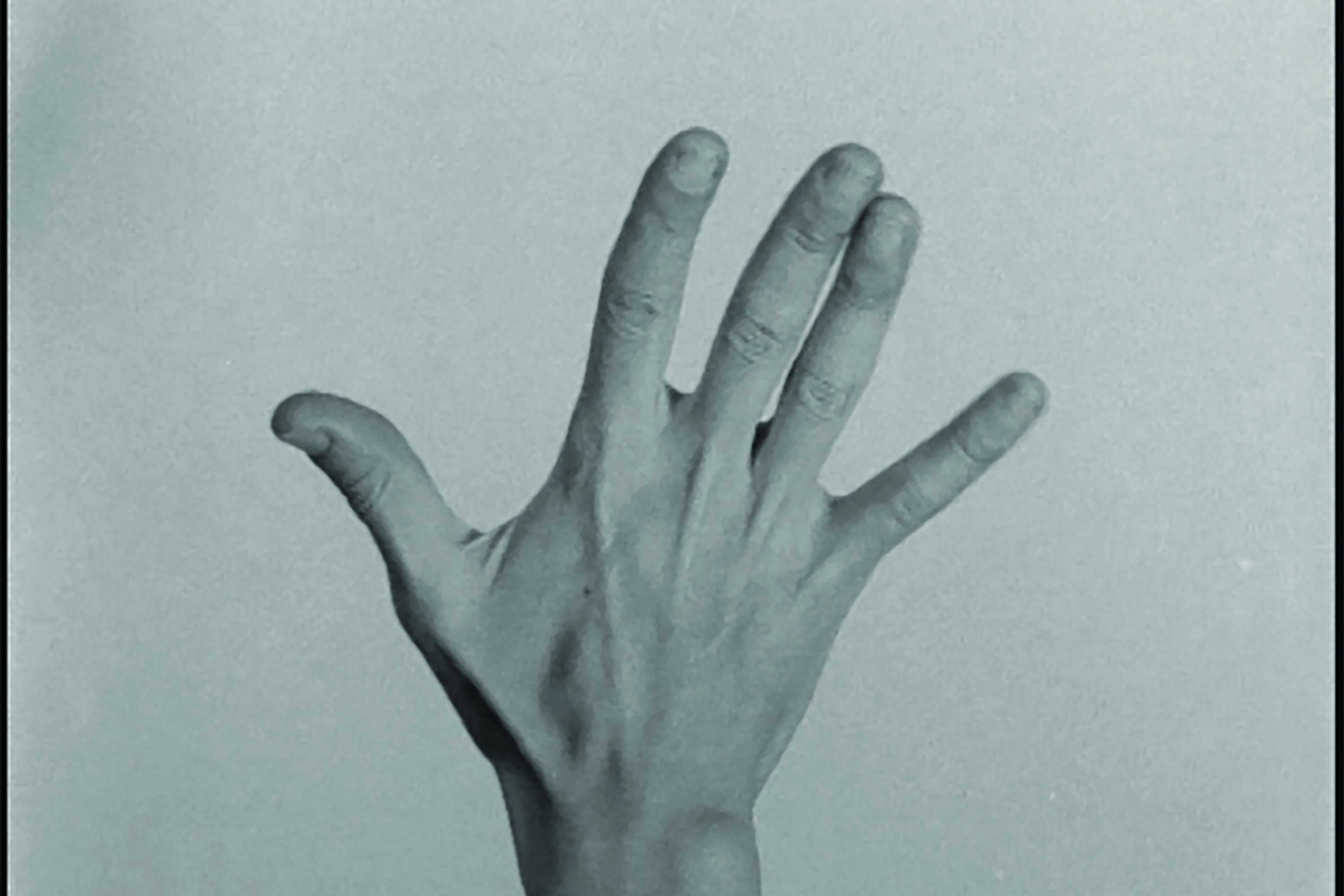 immagine di copertina where language moves > Yvonne Rainer, Cesare Pietroiusti