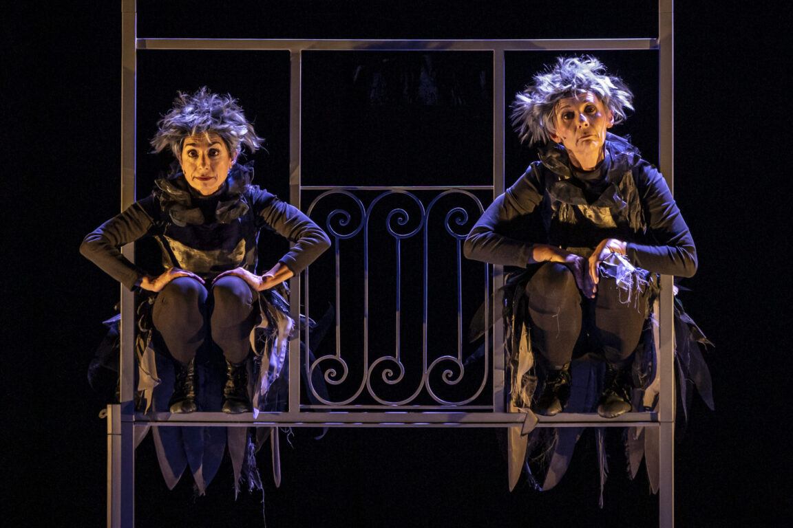 immagine di copertina rassegna Il Mediterraneo, il mare degli ulivi, il mare della Pace