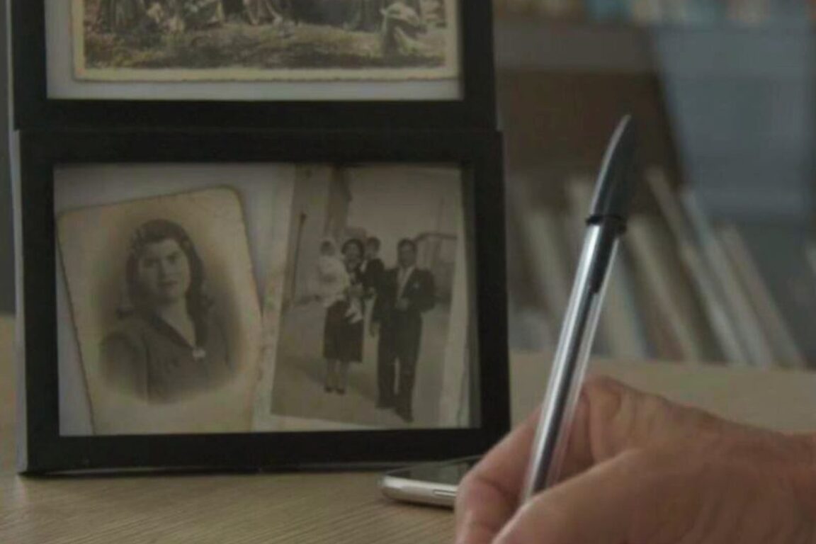 immagine di copertina rassegna Il Mediterraneo, il mare degli ulivi, il mare della Pace